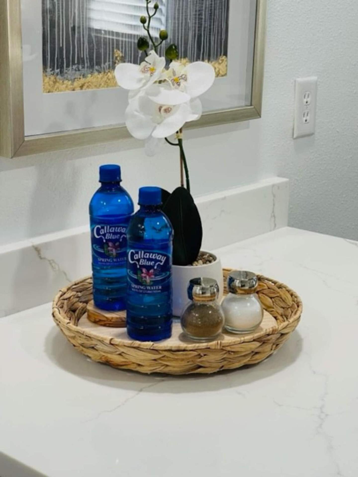 Walk Everywhere! 1-Bedroom Gem In Downtown Hub نيو بورت ريتشي المظهر الخارجي الصورة